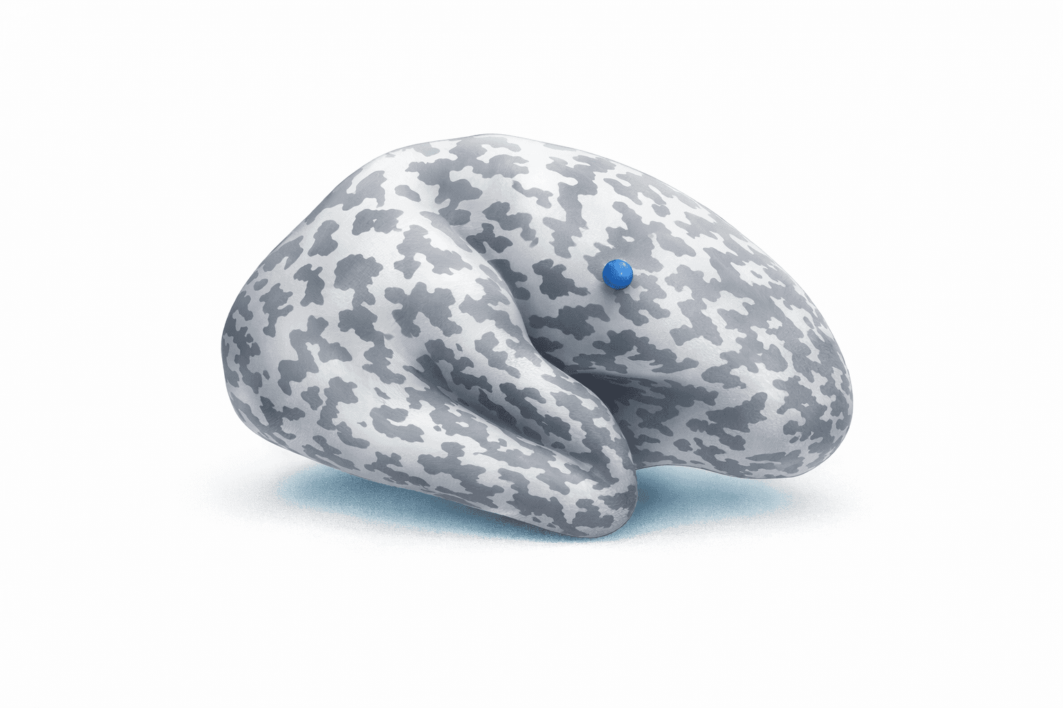 脑电溯源证据图