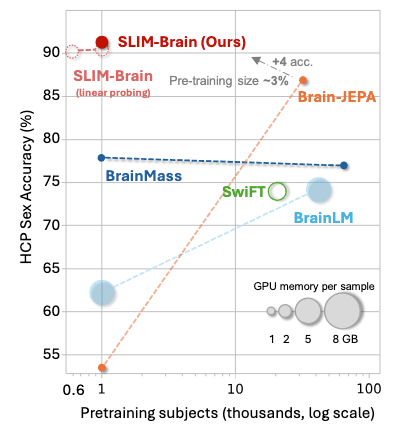 fMRI 模型性能证据图